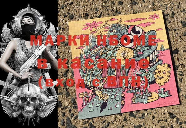 гидропоника Новокубанск