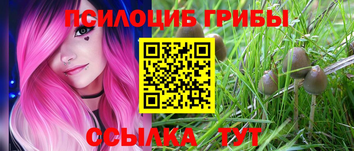 Галлюциногенные грибы ЛСД Губкинский