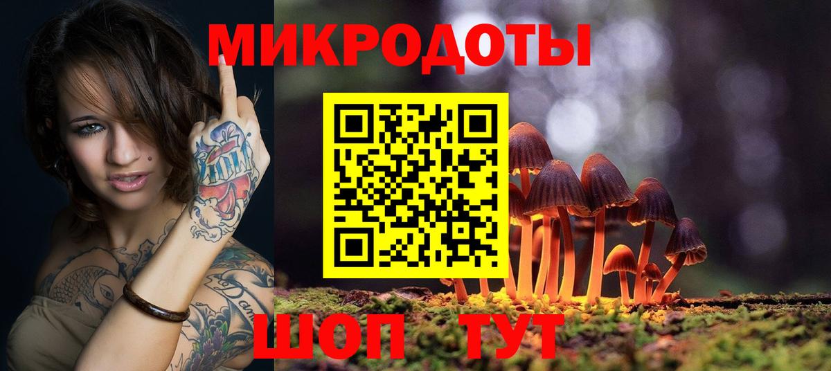 Галлюциногенные грибы Psilocybine cubensis  Вход с VPN  Губкинский 