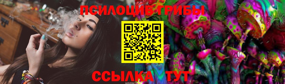 Галлюциногенные грибы Psilocybe  Губкинский 