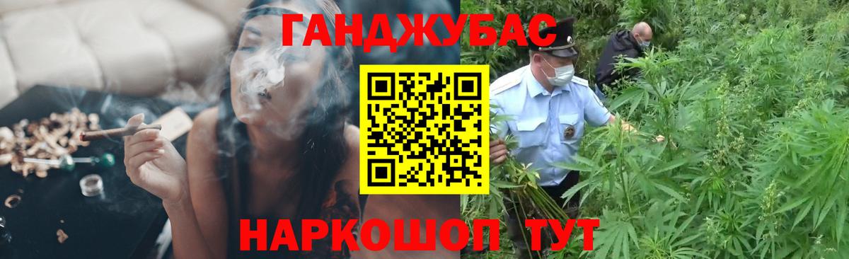 Бошки Шишки планчик  Конопля планчик  Губкинский  Вход с VPN  Конопля AK-47  Каннабис индика 